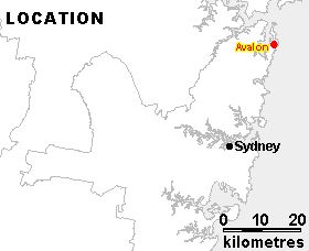 Map of  where Avalon iz.jpg