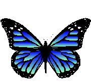 Blue Butterfly Flappin from www.bigoo.ws/