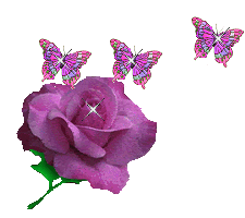 Flower & 3 Butterflies