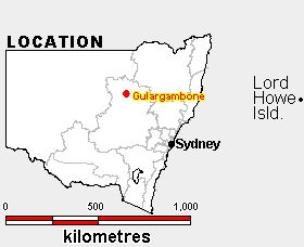 Map of where Gulargambone iz.jpg